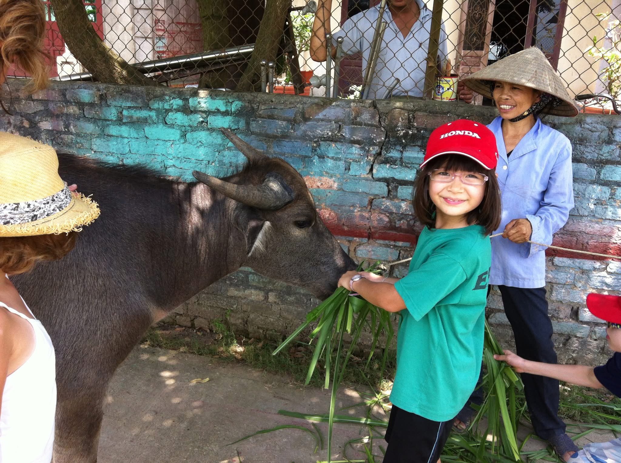 Etoile feeding a water buffalo as a kid in Southeast Asia